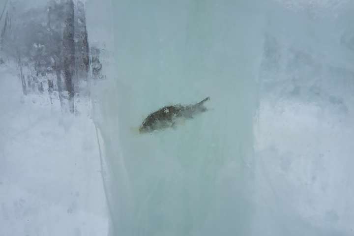  ��� ��� ��� ���� 