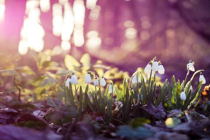  ���� ��� ������ ������ ������ ��� ��� ����� 