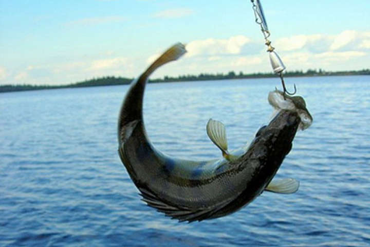 У Києві цього року заборонять ловити рибу раніше, ніж зазвичай