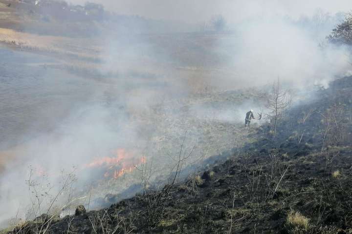 Київщина потерпає від пожеж: за добу знищено майже 200 га екосистем (фото, відео)