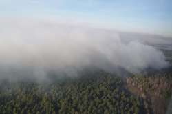 Вигоріли тисячі гектарів лісів у Чорнобильській зоні