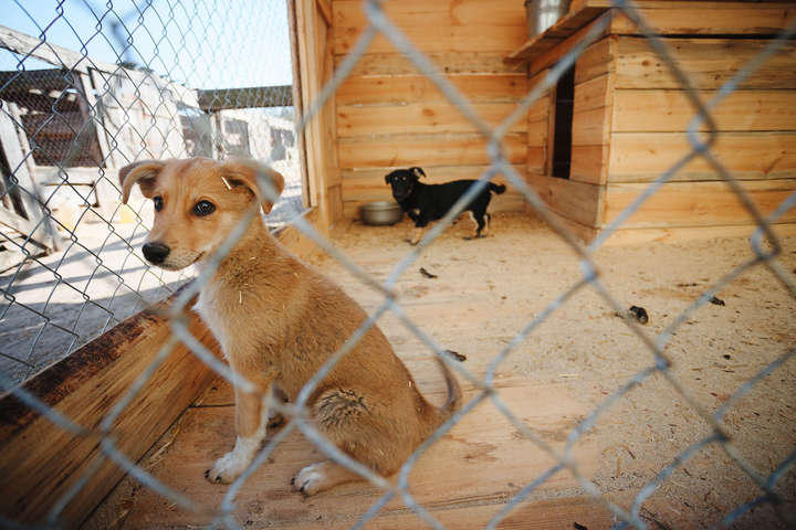  ������ ��������� ��� �������� ��� ��� �������� ����� 