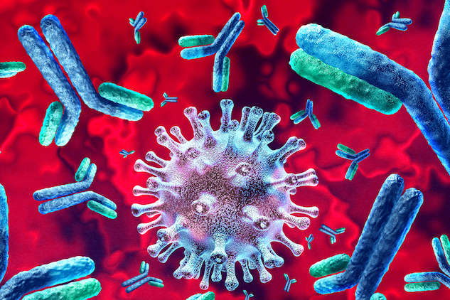  ����� ����� ���� ������� ���� covid-19 ���� ���� 