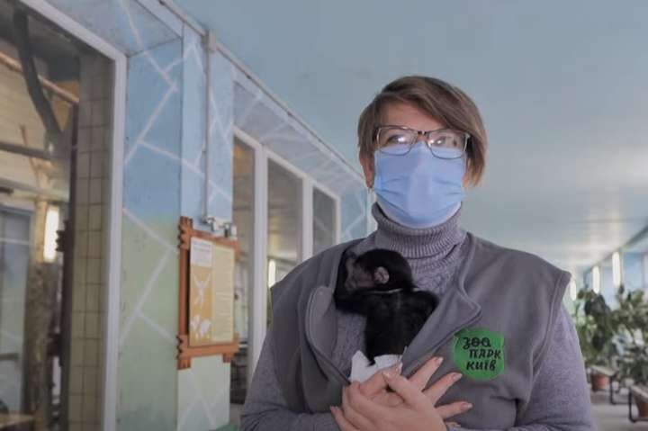 Як зимує Київський зоопарк: Кличко навідався до мавпочок (відео)