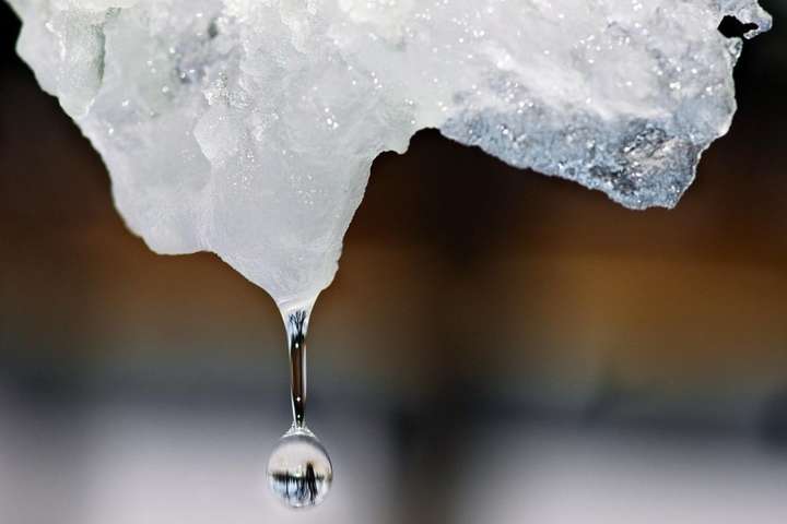  ���� ������� ���� ���� ����������� ��� ����� ���� 