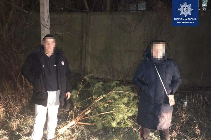 У Борисполі парочка зрубала сосну на чужому подвір’ї (фото)
