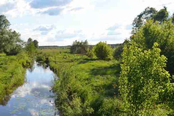 Природно-заповідний фонд Київщини збільшився майже на пів тисячі гектарів 