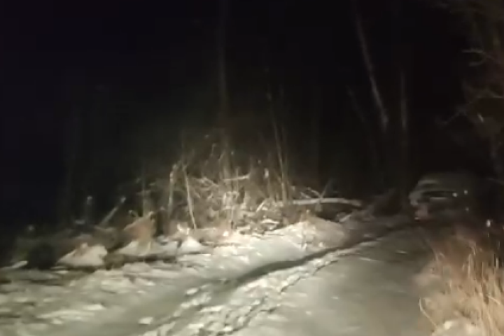 Киянина, якого розшукували дві доби, знайшли мертвим у лісосмузі (відео)