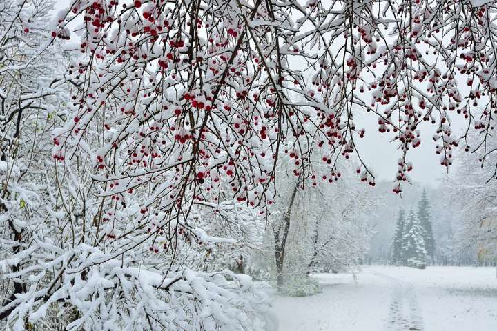 Штормовий вітер та мороз до -13: прогноз погоди в Україні на 13 лютого