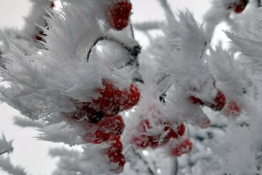 Сніг і до -15: в Україні різко погіршиться погода
