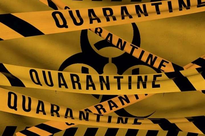  covid-19 ��� ������ ����� ����� ���� ��������� 