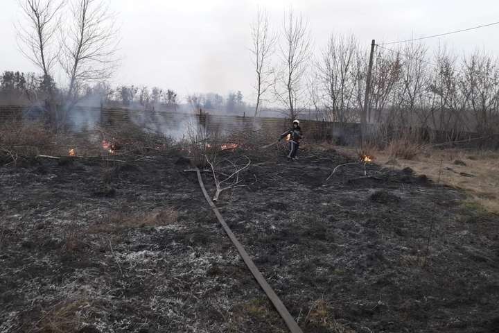 На Київщині загинула літня жінка під час спалювання сухої трави 