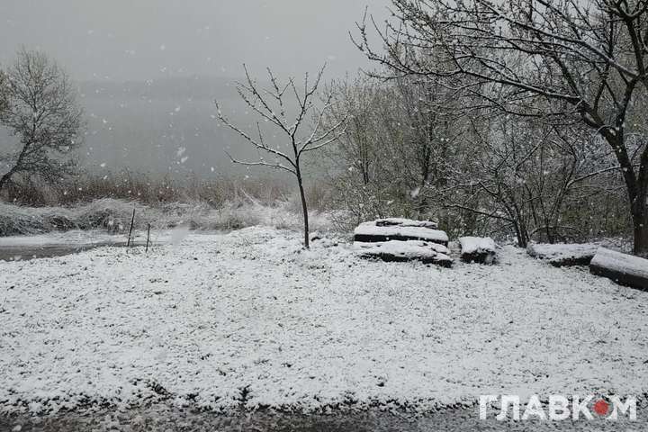 Київщину рясно засипало снігом (фото)