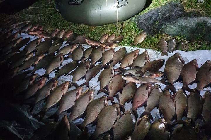 На Київщині браконьєри натягали сітками 115 кг риби (фото)
