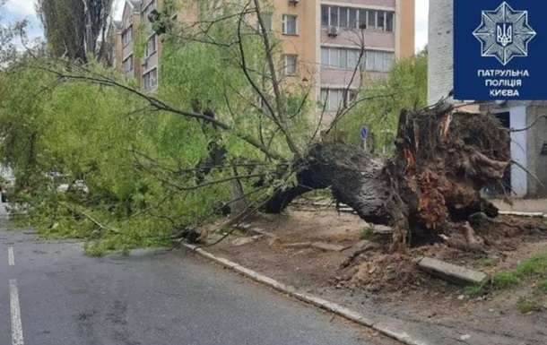 Сильний вітер у Києві зламав декілька дерев (фото)