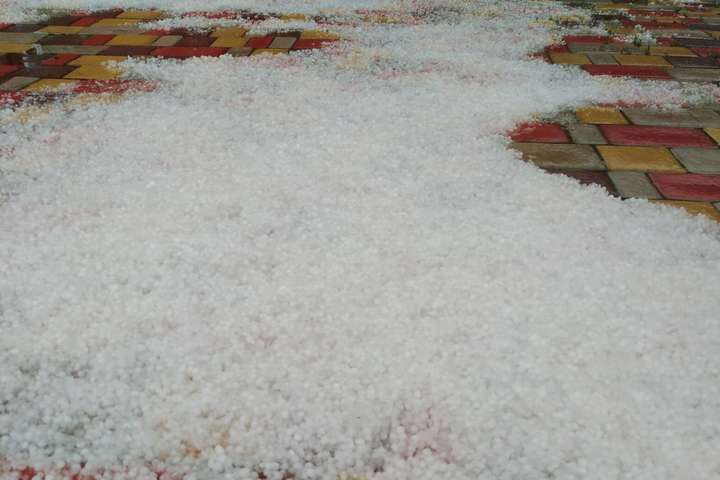  ������ ������ ��� �������� 