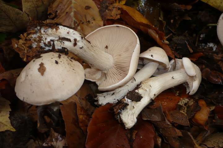  ����� ���� ������ ������ ���� ������� ��� 