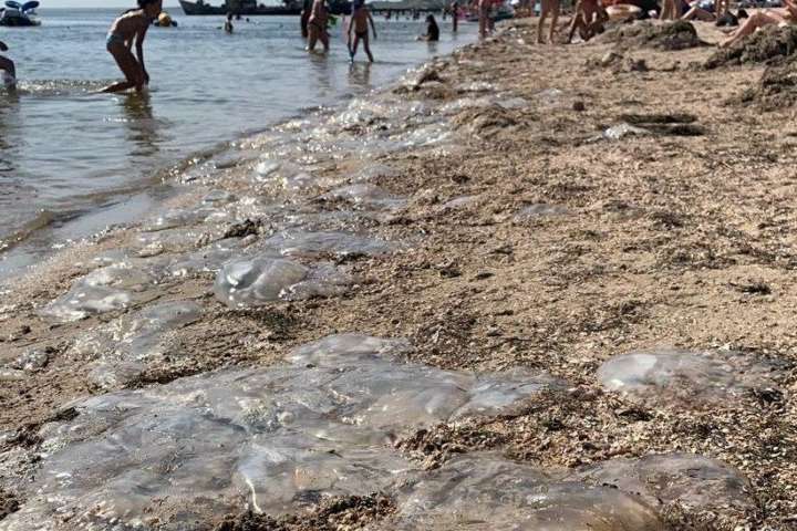  ����� ��� ���������� ���� ���� ������ ��� ����� 