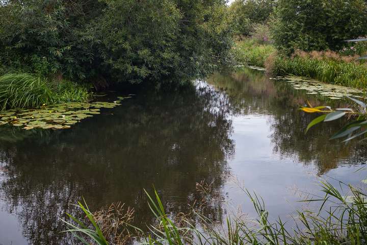 ����: glavcom.ua