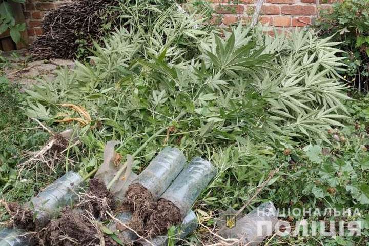  ��� ����� ����� ������ ��� ����� ���� ������������ 