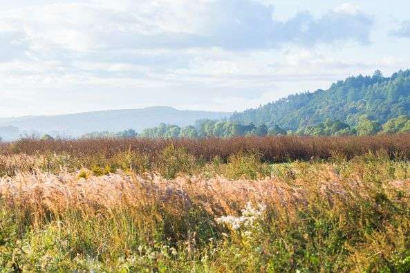  ���� ������� ������ ���� ������ ������ ��� ���� 