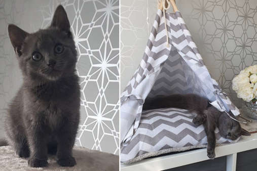  ����� ����������� ����� �������� ����� ������� ������� ������ 