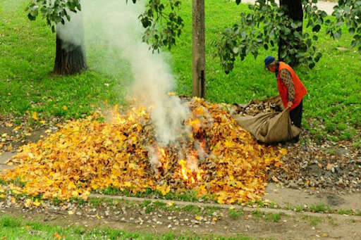 Спалювання листя боляче вдарить по гаманцю: киянам нагадали про штрафи