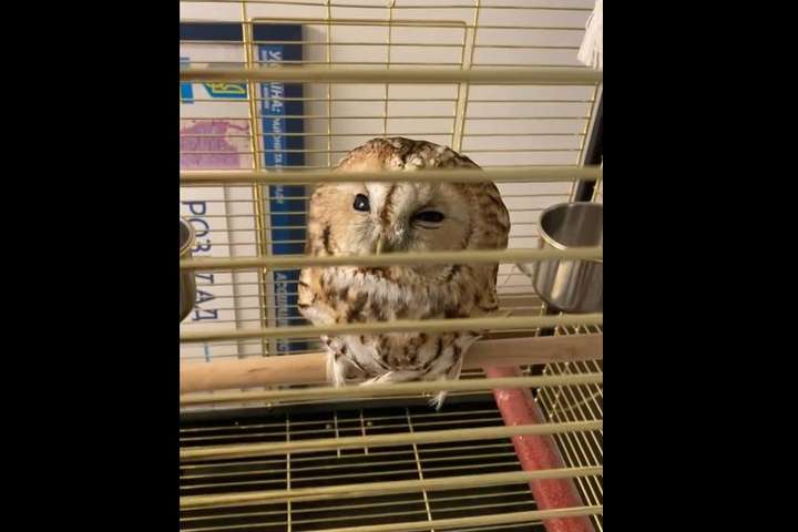  ����� ���� ���� ��� ���� ��� ��� ��������� 