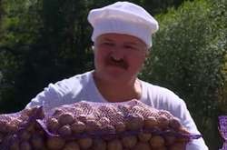Відомий «аграрій» Лукашенко годує білорусів найдорожчою у Східній Європі картоплею