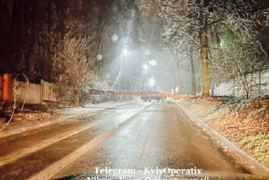 Київ у полоні льоду: дерево перегородило дорогу (фото)