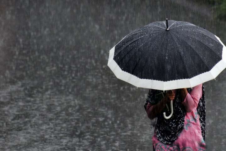  ���� ����������� ���� ������ ����� ���� ����� ��� 