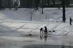 На столичній Русанівці пес кинувся у крижану воду, щоб врятувати господаря (відео)