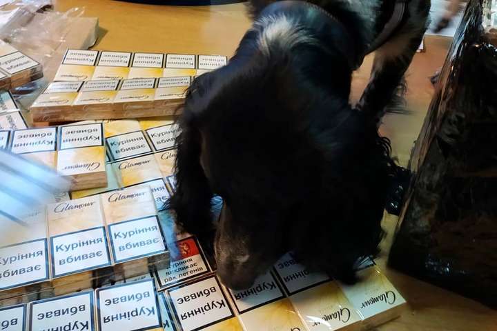 Пес київських митників унюхав контрабанду цигарок (фото)