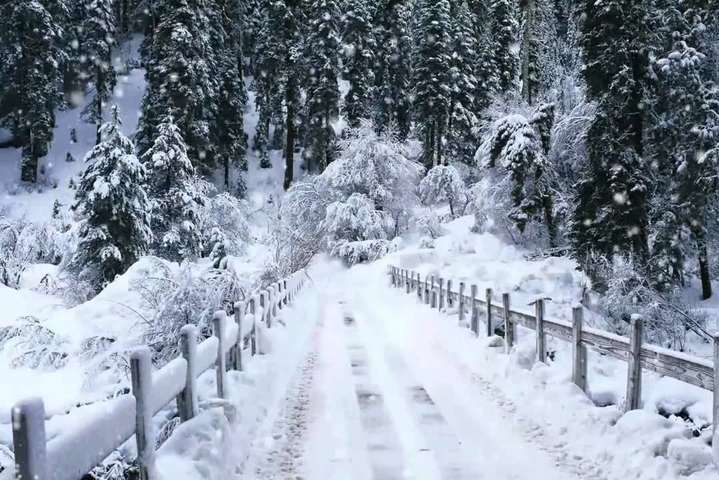  ���� ��� ���� ���� ������ ����������� ����������� ��� 