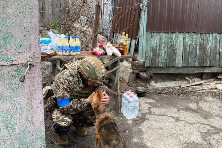 Військові звільнили від окупантів село на Харківщині (фото)