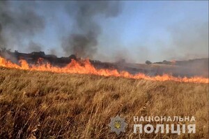 Ворожим вогнем знищено поля пшениці на Запоріжжі (фото)