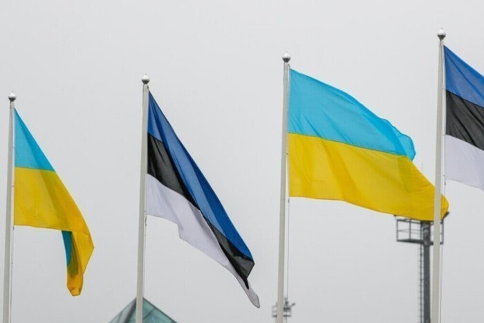 Естонія ухвалила новий пакет військової допомоги для України