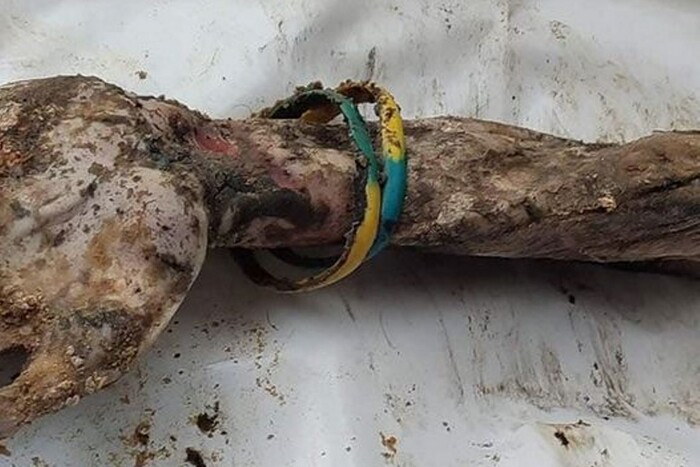 Масове поховання в Ізюмі. Фото з браслетом, яке вразило світ 