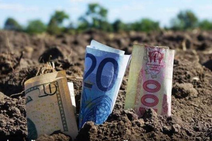 Де в Україні найдорожча земля? Мінагрополітики назвало регіон