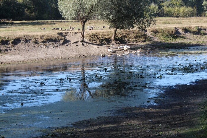 Уряд Франції закликає громадян економити воду: названо причину