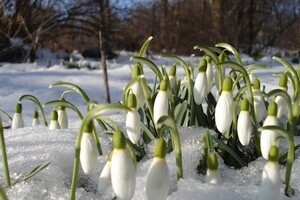 Місцями сніг та ожеледиця: прогноз погоди на 13 березня