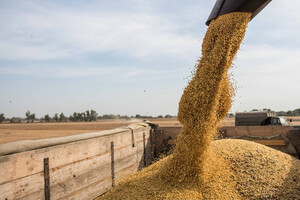 Заборона на імпорт зерна: Єврокомісія стала на захист України