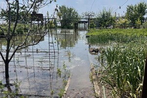 Затоплені городи: як унаслідок підриву Каховської ГЕС страждає врожай (відео)