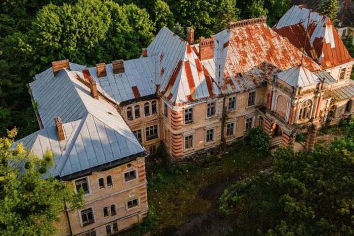 На Львівщині колишній палац польського графа продано за 20 млн грн (фото)