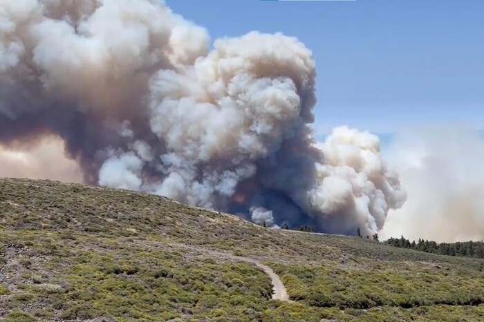 В Іспанії вирує лісова пожежа: евакуйовано пів тисячі осіб (відео)