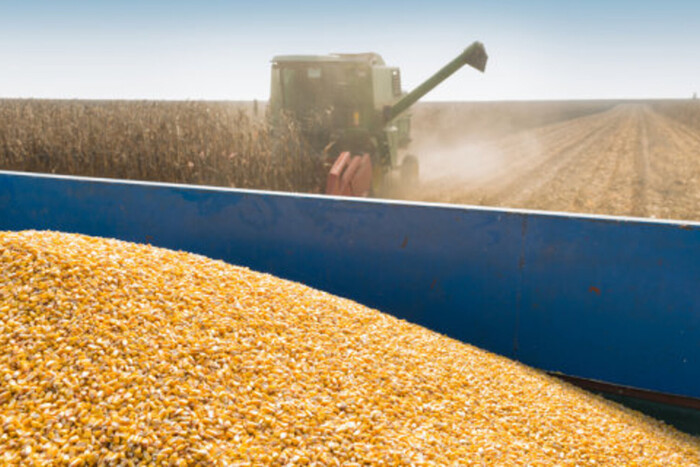 Один із найбільших імпортерів зерна продовжить робити ставку на Україну 