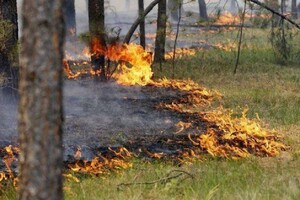 У Києві та області оголошено пожежну небезпеку