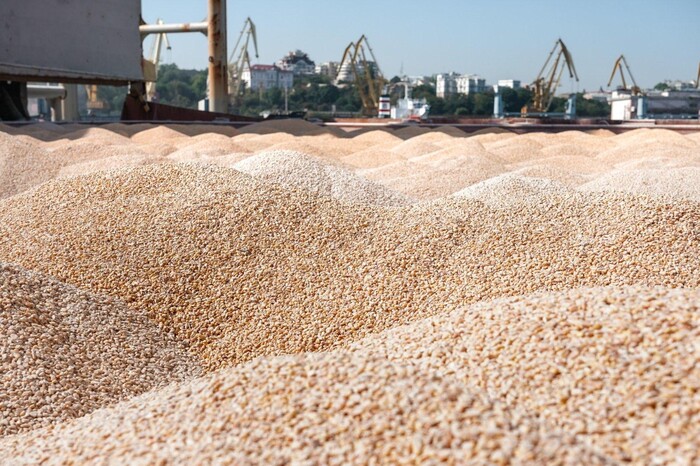 США бачать шляхи експорту українського зерна в обхід зернової угоди