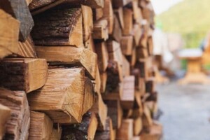 Скільки коштує купити дрова у 2023 році