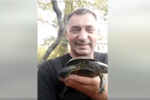«За справу беруться бойові черепахи»: військові опублікували миле відео